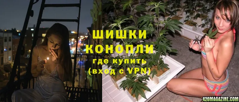 Канабис SATIVA & INDICA  как найти наркотики  Верхняя Тура 